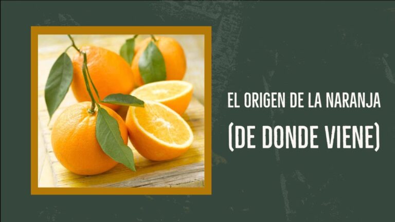 De Donde Viene La Palabra Naranja