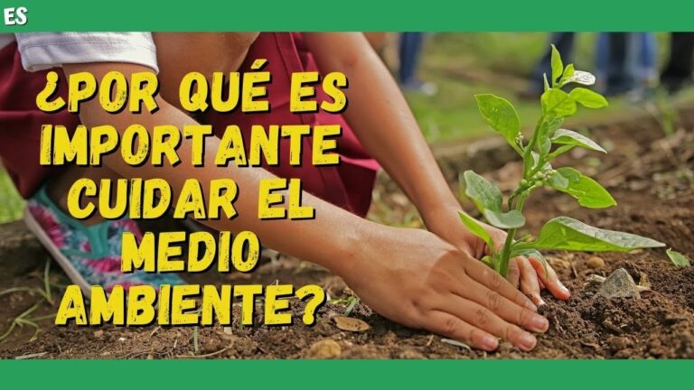 Cuidar el medio ambiente: ¿por qué es importante? - Beatriz Arroyo