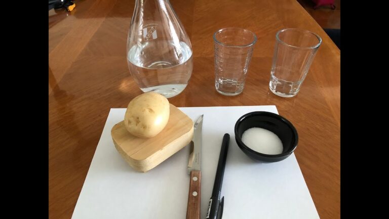 Experimento De Las Papas Con Sal