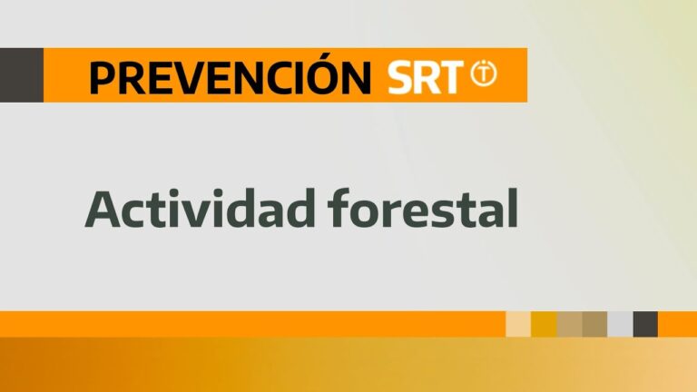 Palabras clave en la actividad forestal - Beatriz Arroyo