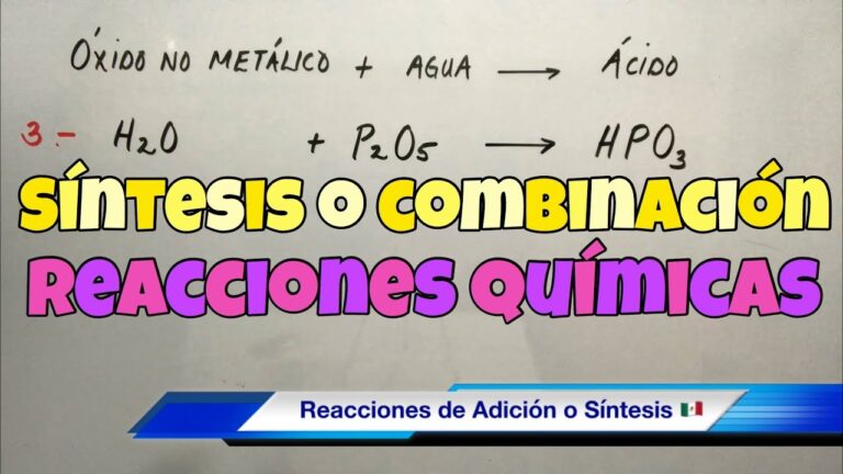 Reacciones de síntesis en procesos biológicos - Beatriz Arroyo